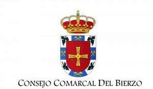 Consejo comarcal bierzo