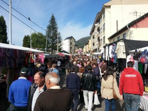feriona 2013