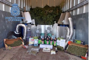 marihuana comunidad madrid