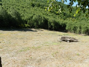 monte publico usurpado palacios del sil