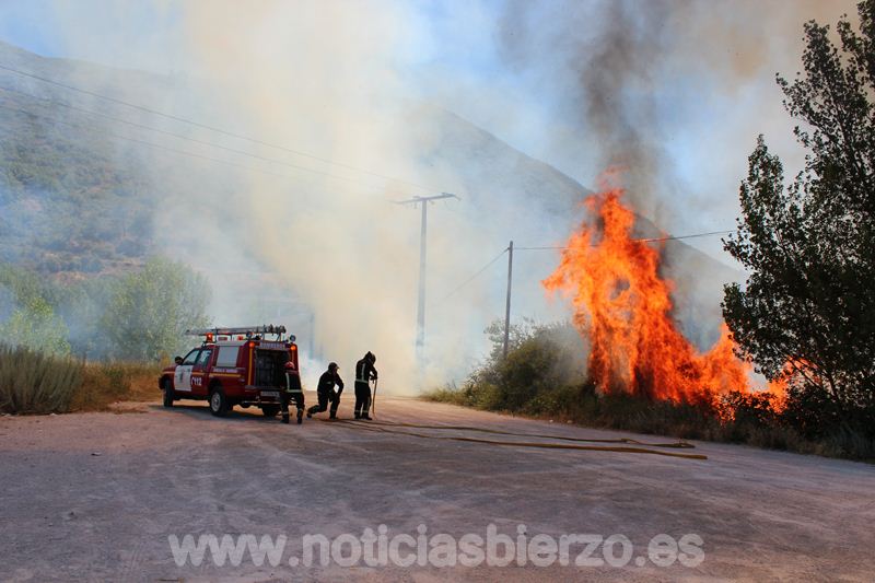 fuego flores del sil (23)