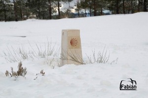 camino santiago nieve
