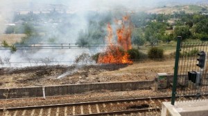 incendio borreca (2)