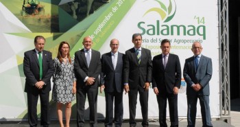 salamaq 2014 diputacion