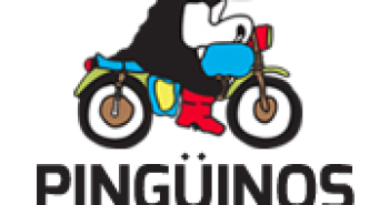 logo_lapinguinos
