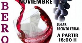 14 Noviembre-Feria del Vino-Fabero