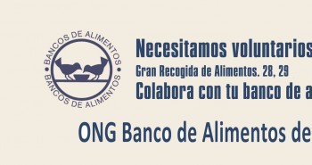 voluntarios BAS
