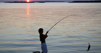 pesca