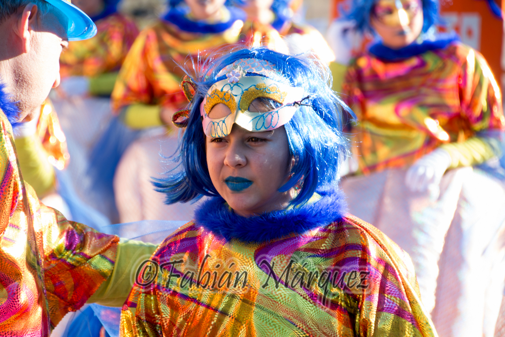 Carnaval 2015-1-6