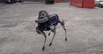 perro robot google spot