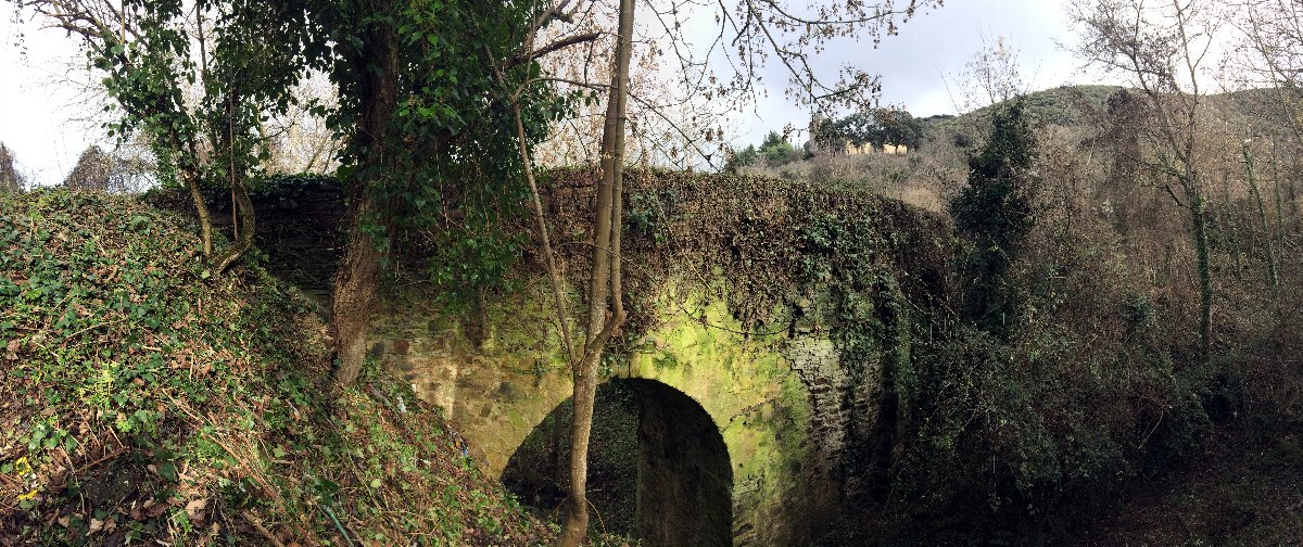 puente medieval de San Martín