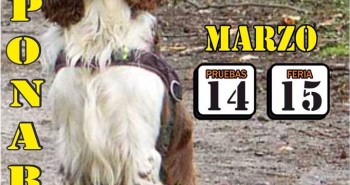 14 Marzo-Feria Perros Caza Camponaraya
