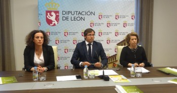 consumo diputacion leon