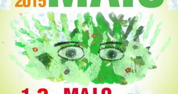 festa do mayo 2015 villafranca del bierzo