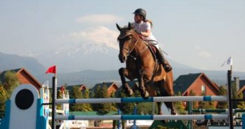 saltos caballos