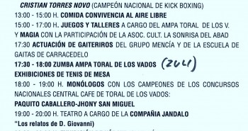 Programa toral solidario