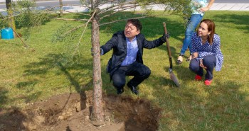 samuel folgueral arbol-1