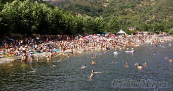 fiestizaje 2015-1