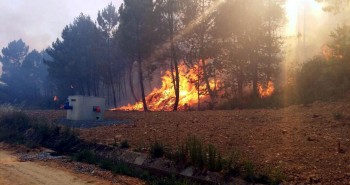 incendio magaz2