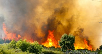 incendio fuego pantano-16