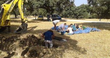 nueva fosa comun cadiz