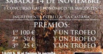 magosto toreno 2015