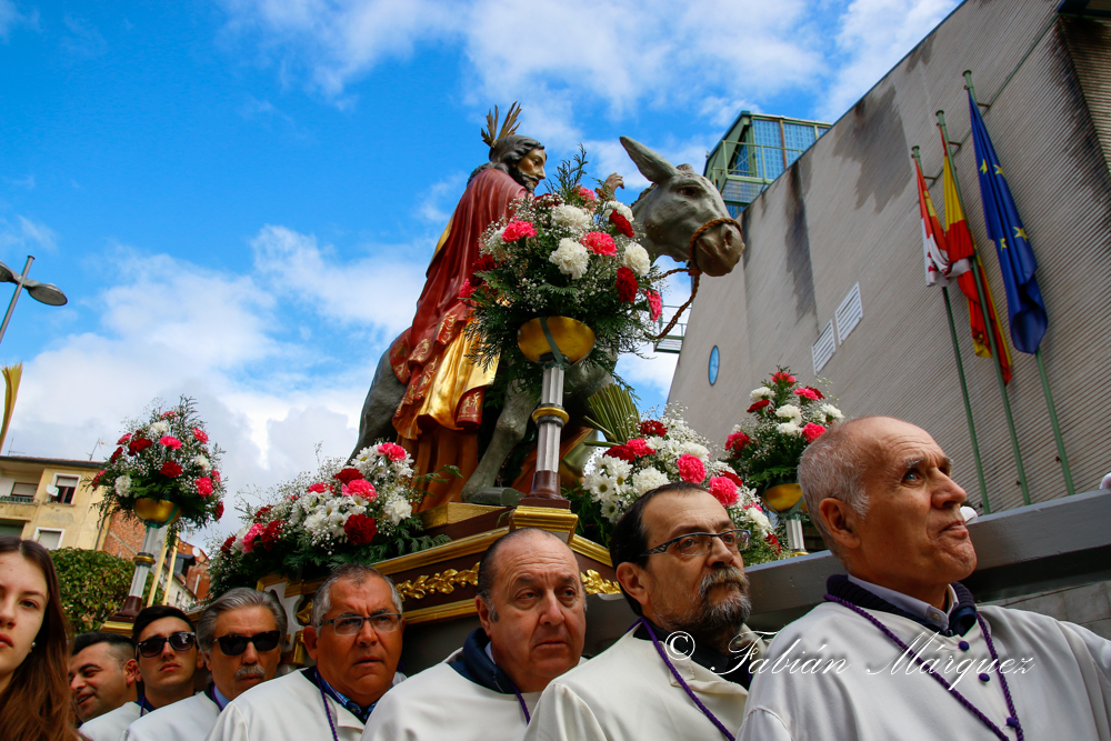 procesion palmas 2015-16