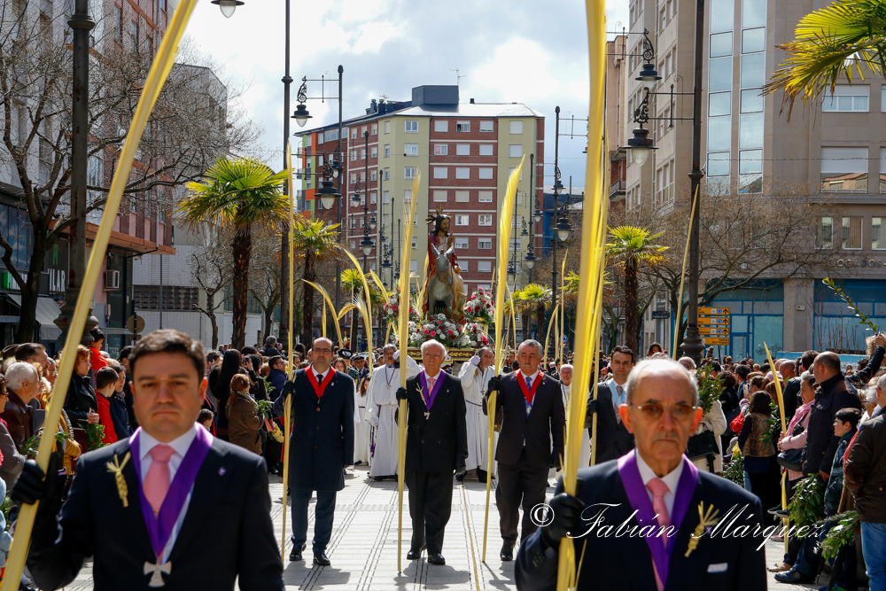 procesion palmas 2015-24