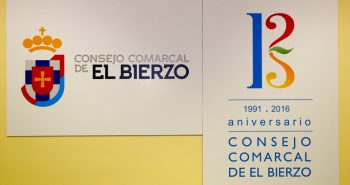 Nuevo logo consejo comarcal-1
