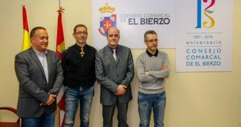 Nuevo logo consejo comarcal-2