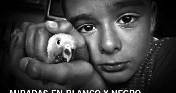 14 de Mayo-Exposición Museo Fotografías Bn