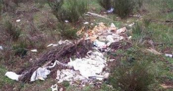 Basura+La+Candamia,0