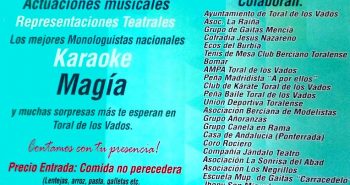 CARTEL TORAL SOLIDARIO 2016-1