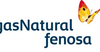 Gas-Natural-Fenosa-Leer-contador