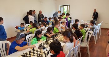 Participantes