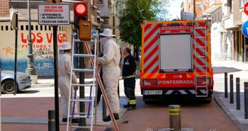 abejas bomberos-3