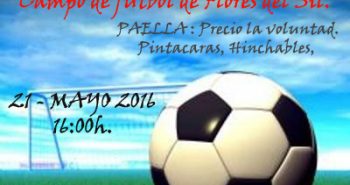 cartelfinal2016 veteranos