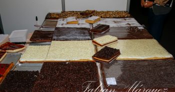 feria carracedelo 2016-8