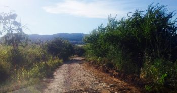 Foto camino San Lorenzo 3
