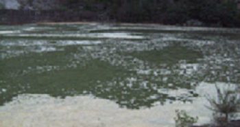 LA CONTAMINACIÓN DE LAS AGUAS