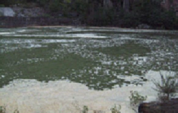 LA CONTAMINACIÓN DE LAS AGUAS