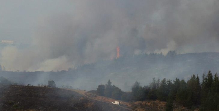 EL "ABUNDANTE" HUMO