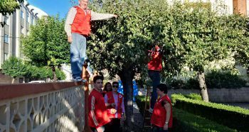 peras-cruz-roja-bembibre