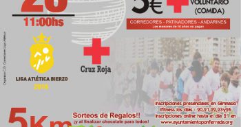 cartel San Silvestre 2016 G
