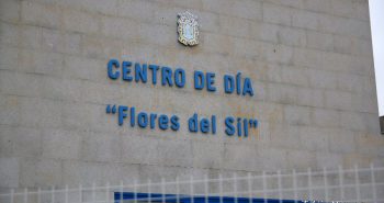 centro dia flores sil