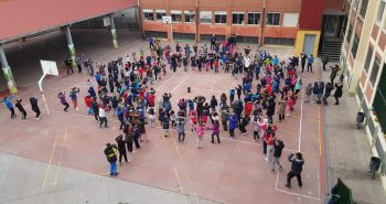 colegio navaliegos