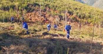 ancares v villafranca