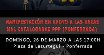 manifestacion ppp 26 marzo