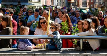 procesion palmas 2017-7