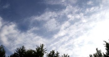 cielo